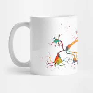 Neurotransmitter release mechanisms Mug